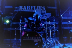 The Barflies